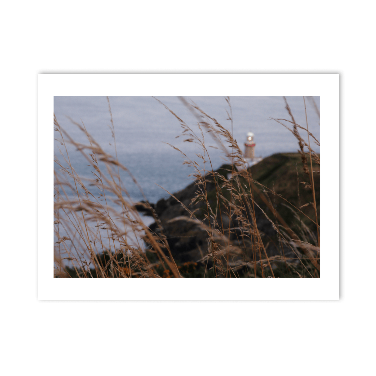 Nua Photography Print Baily Lighthouse Through Wild Grass at Dusk, Howth Co. Dublin Baily Lighthouse Howth at Dusk | Nua Photography