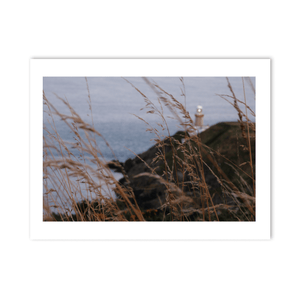 Nua Photography Print Baily Lighthouse Through Wild Grass at Dusk, Howth Co. Dublin Baily Lighthouse Howth at Dusk | Nua Photography