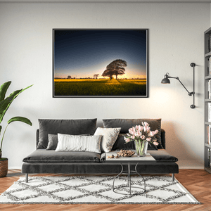 Nua Photography Print Rapeseed Field of Gold at Sunset, Balbriggan Co. Dublin Balbriggan Rapeseed Field Golden Sunset | Nua Photography
