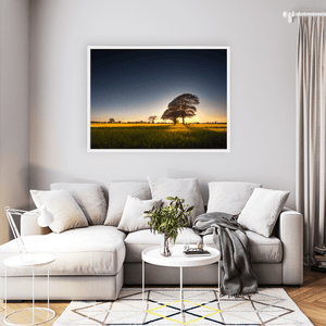 Nua Photography Print Rapeseed Field of Gold at Sunset, Balbriggan Co. Dublin Balbriggan Rapeseed Field Golden Sunset | Nua Photography