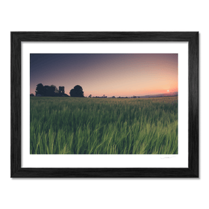 Nua Photography Print Balbriggan Tower and Barley Field at Sunset, Co. Dublin Balbriggan Tower Barley Field Sunset Print | Nua Photography