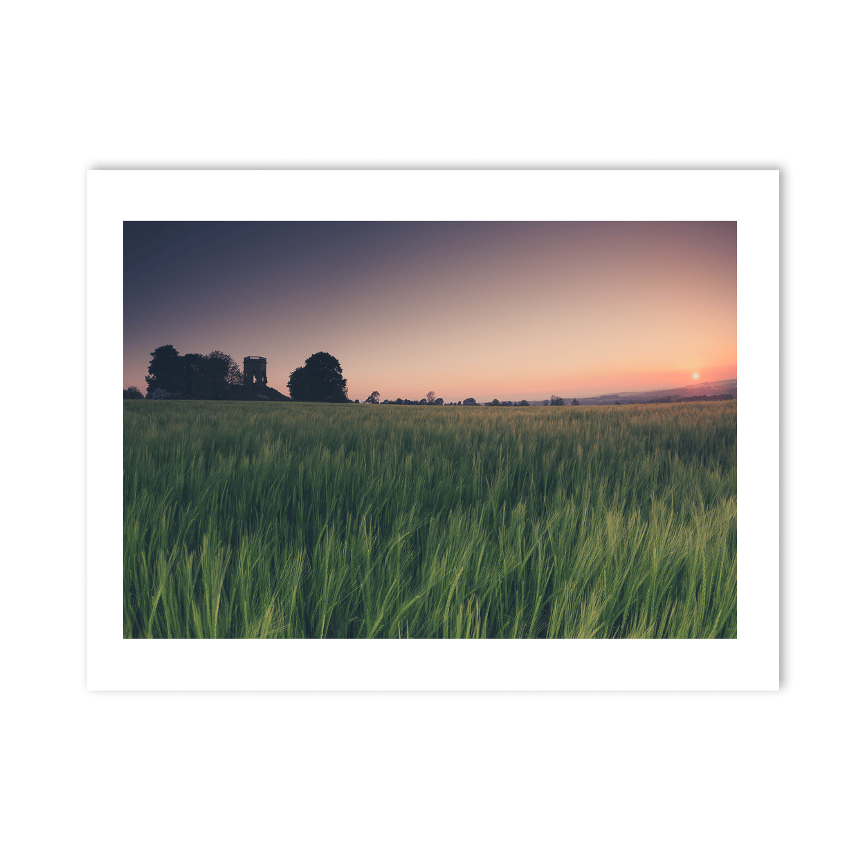 Nua Photography Print Balbriggan Tower and Barley Field at Sunset, Co. Dublin Balbriggan Tower Barley Field Sunset Print | Nua Photography