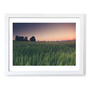 Nua Photography Print Balbriggan Tower and Barley Field at Sunset, Co. Dublin Balbriggan Tower Barley Field Sunset Print | Nua Photography