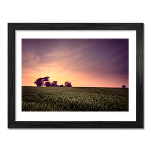 Nua Photography Print Balbriggan Tower in Wheat Field at Sunset, Co. Dublin Balbriggan Tower Wheat Field Sunset Print | Nua Photography