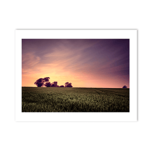 Nua Photography Print Balbriggan Tower in Wheat Field at Sunset, Co. Dublin Balbriggan Tower Wheat Field Sunset Print | Nua Photography