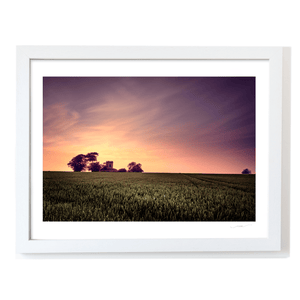 Nua Photography Print Balbriggan Tower in Wheat Field at Sunset, Co. Dublin Balbriggan Tower Wheat Field Sunset Print | Nua Photography