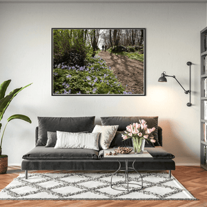 Nua Photography Print Woodland Path with Spring Bluebells, Balbriggan Co. Dublin Balbriggan Woodland Bluebell Path Print | Nua Photography
