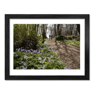 Nua Photography Print Woodland Path with Spring Bluebells, Balbriggan Co. Dublin Balbriggan Woodland Bluebell Path Print | Nua Photography