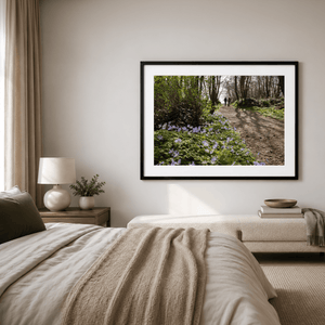 Nua Photography Print Woodland Path with Spring Bluebells, Balbriggan Co. Dublin Balbriggan Woodland Bluebell Path Print | Nua Photography