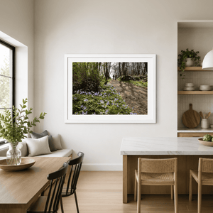 Nua Photography Print Woodland Path with Spring Bluebells, Balbriggan Co. Dublin Balbriggan Woodland Bluebell Path Print | Nua Photography