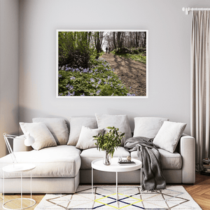 Nua Photography Print Woodland Path with Spring Bluebells, Balbriggan Co. Dublin Balbriggan Woodland Bluebell Path Print | Nua Photography