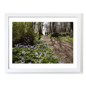 Nua Photography Print Woodland Path with Spring Bluebells, Balbriggan Co. Dublin Balbriggan Woodland Bluebell Path Print | Nua Photography