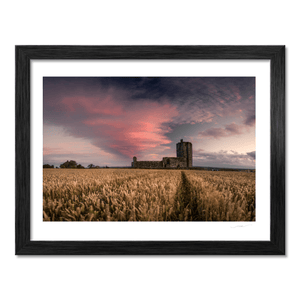 Nua Photography Print Baldungan Castle Rising from Golden Wheat Fields at Sunset, Skerries Co. Dublin Baldungan Castle Wheat Field Sunset Print | Nua Photography