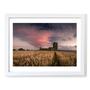 Nua Photography Print Baldungan Castle Rising from Golden Wheat Fields at Sunset, Skerries Co. Dublin Baldungan Castle Wheat Field Sunset Print | Nua Photography
