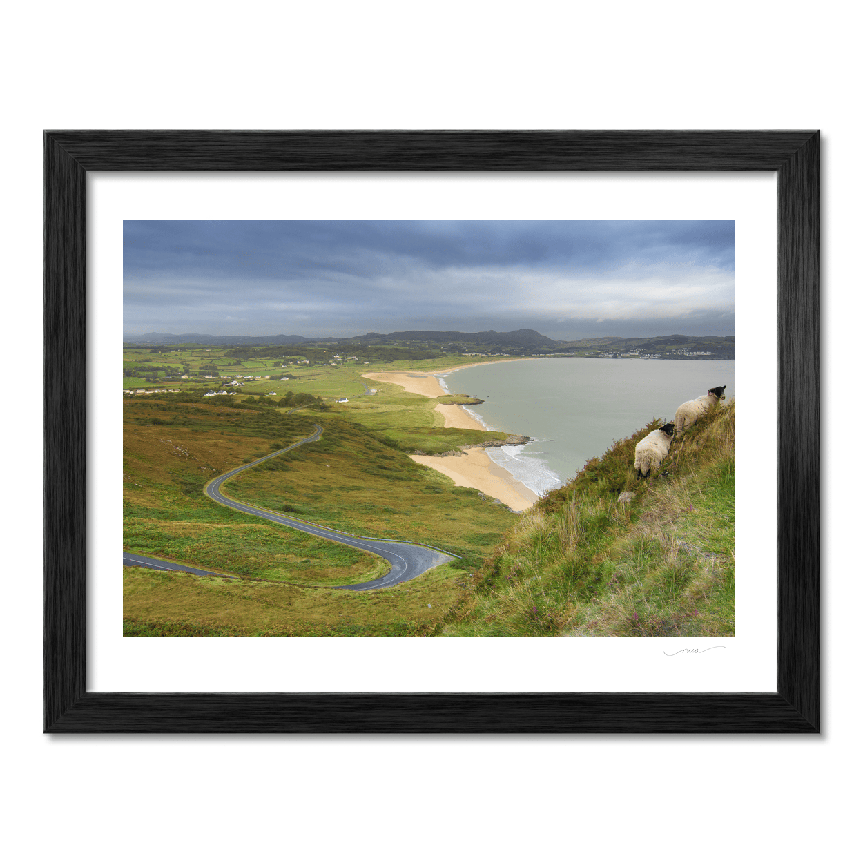 ballymastocker-bay-sheep-winding-road PM