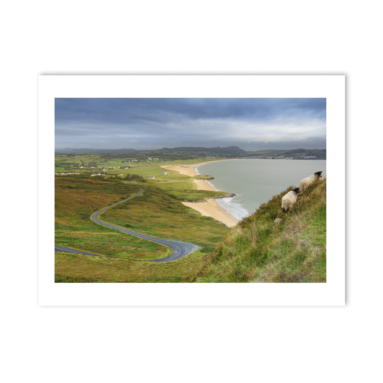 ballymastocker-bay-sheep-winding-road PM