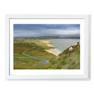 ballymastocker-bay-sheep-winding-road WF