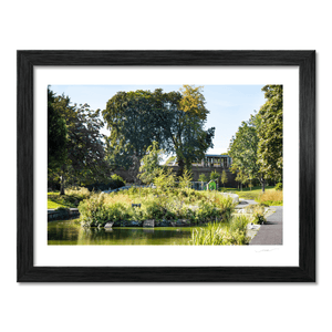 blessington-street-basin-summer-park BF