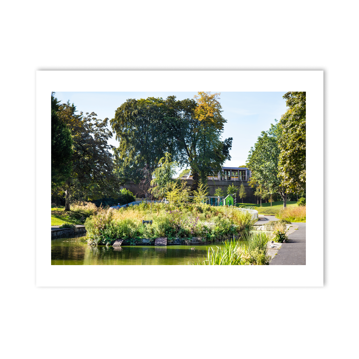 blessington-street-basin-summer-park PM