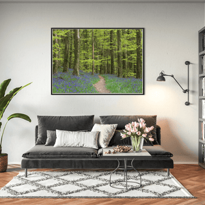 bluebell-woodland-path-spring BFW