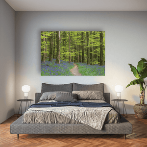 bluebell-woodland-path-spring Pano