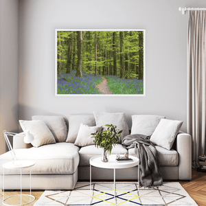 bluebell-woodland-path-spring WFW