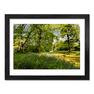 bluebell-woodland-spring-bench-down BF