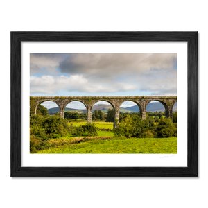 borris-viaduct-arches-carlow BF