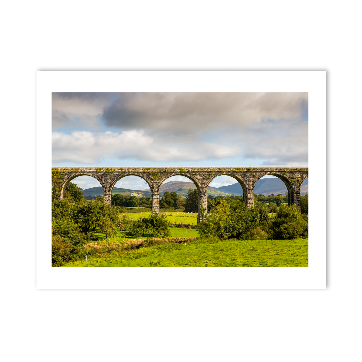 borris-viaduct-arches-carlow PM