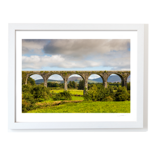 borris-viaduct-arches-carlow WF