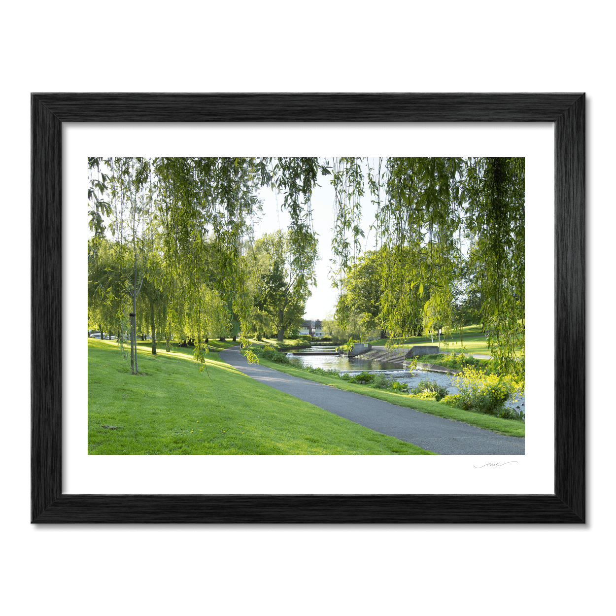 bushy-park-willow-trees-river-pathway PM