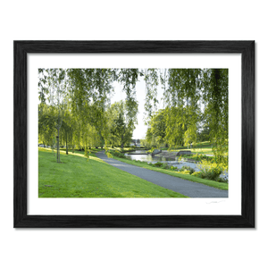 bushy-park-willow-trees-river-pathway BF