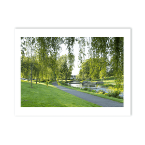 bushy-park-willow-trees-river-pathway PM