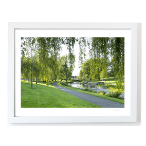 bushy-park-willow-trees-river-pathway WF