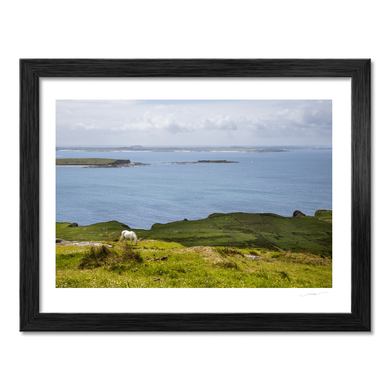 connemara-pony-sky-road-galway PM