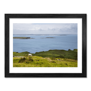 connemara-pony-sky-road-galway BF