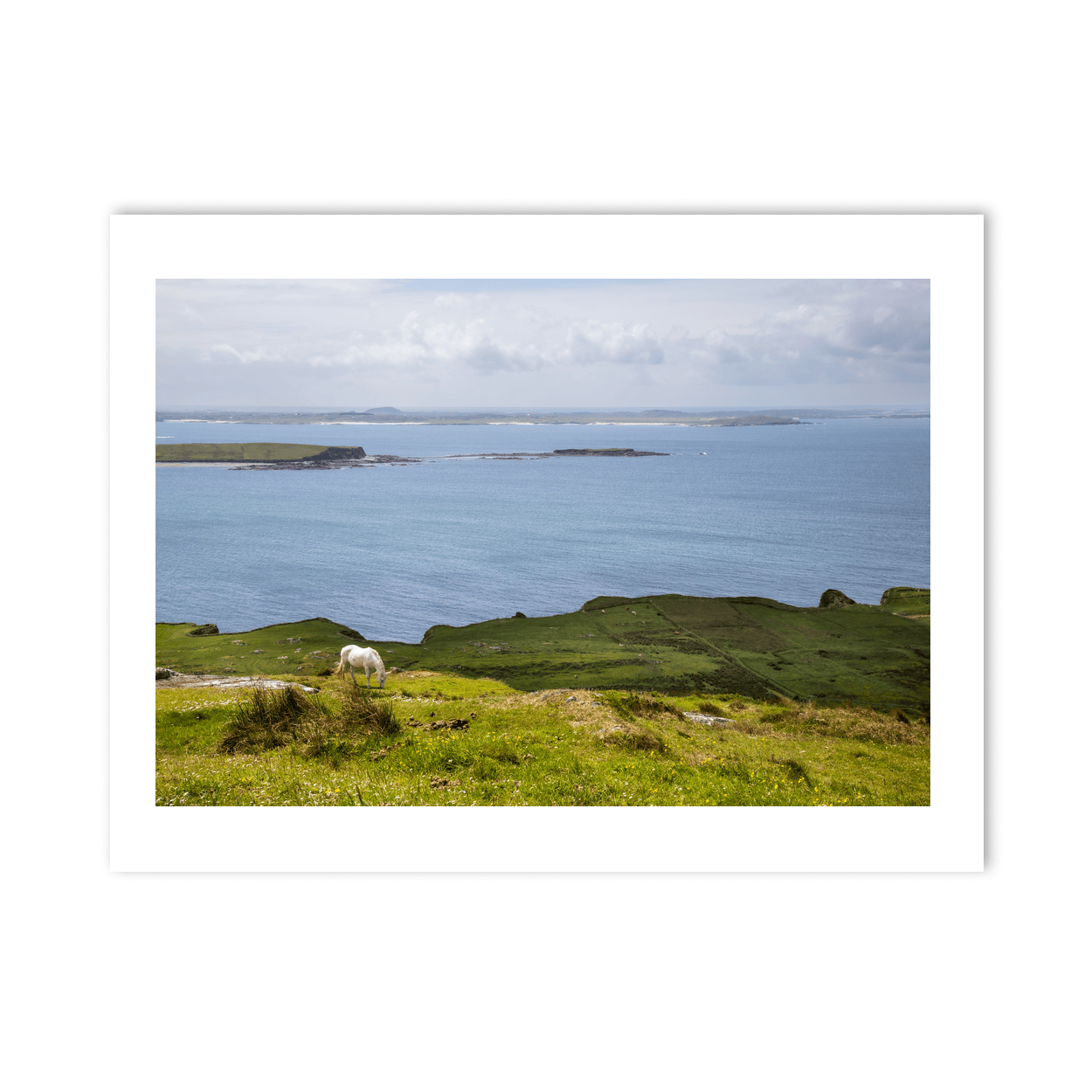 connemara-pony-sky-road-galway PM