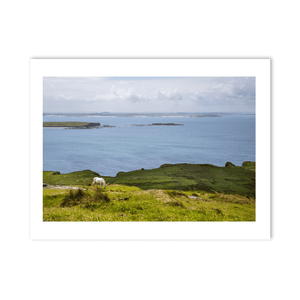 connemara-pony-sky-road-galway PM