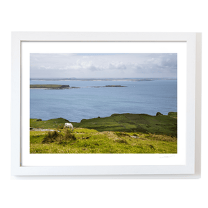 connemara-pony-sky-road-galway WF