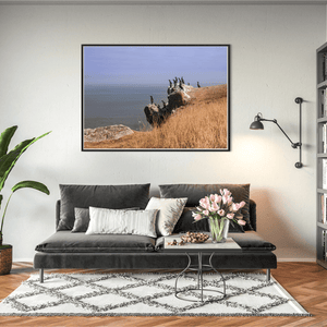 Nua Photography Print Cormorants on Ireland's Eye, Howth Co. Dublin Cormorants on Ireland's Eye Howth | Nua Photography