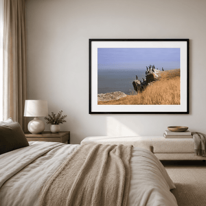 Nua Photography Print Cormorants on Ireland's Eye, Howth Co. Dublin Cormorants on Ireland's Eye Howth | Nua Photography