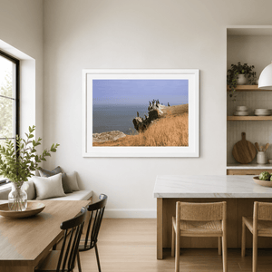 Nua Photography Print Cormorants on Ireland's Eye, Howth Co. Dublin Cormorants on Ireland's Eye Howth | Nua Photography