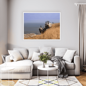 Nua Photography Print Cormorants on Ireland's Eye, Howth Co. Dublin Cormorants on Ireland's Eye Howth | Nua Photography