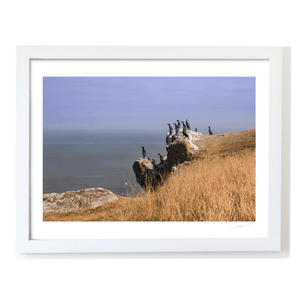 Nua Photography Print Cormorants on Ireland's Eye, Howth Co. Dublin Cormorants on Ireland's Eye Howth | Nua Photography
