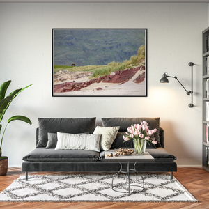 cow-grazing-red-rock-beach-dunes BFW