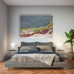 cow-grazing-red-rock-beach-dunes Pano