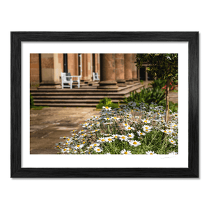 daisies-historic-sandstone-manor-gardens BF
