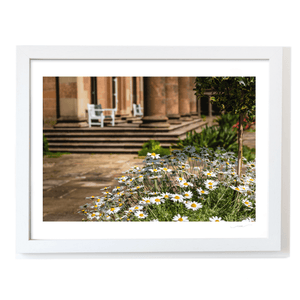 daisies-historic-sandstone-manor-gardens WF
