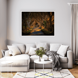 dark-hedges-golden-light-beech-trees WFW