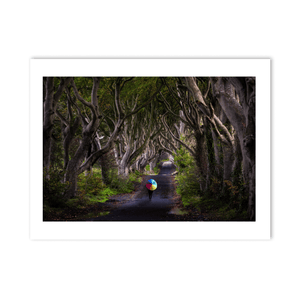 dark-hedges-rainbow-umbrella-autumn PM